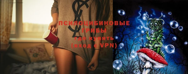 сатива Аркадак