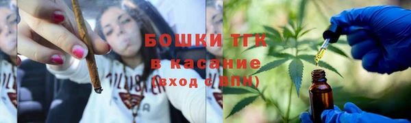 сатива Аркадак
