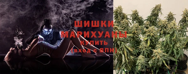 сатива Аркадак