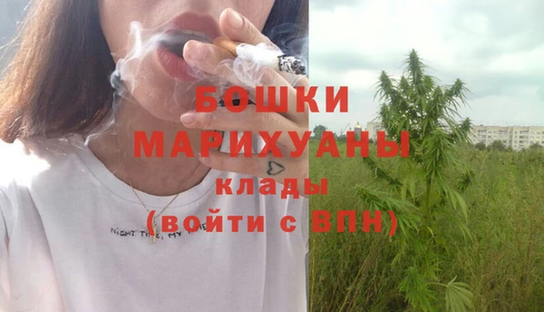 сатива Аркадак