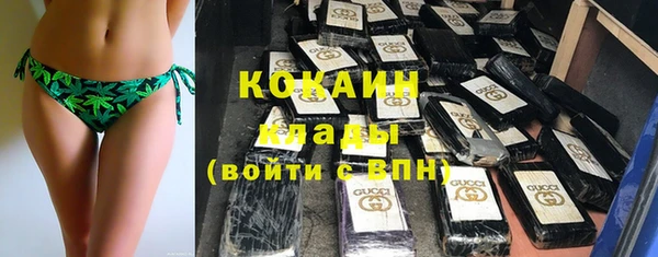 сатива Аркадак