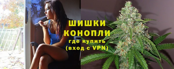 сатива Аркадак