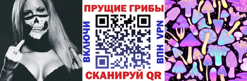 Псилоцибиновые грибы Psilocybine cubensis  где купить наркоту  Рошаль 