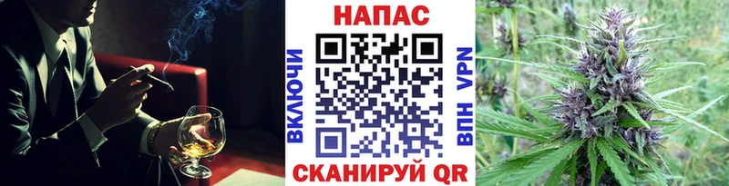 где можно купить   Рошаль  Бошки Шишки SATIVA & INDICA 